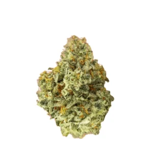 HUALA 22/1 CA ALM (Alien Mints)