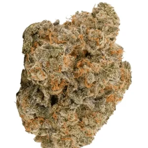 Bathera 24/1 Blue-Z