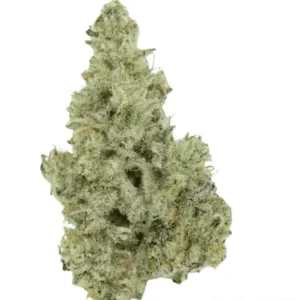 420 Evolution 27/1 CA MMI (Miracle Mint)
