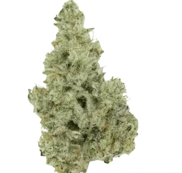 420 Evolution 27/1 CA MMI (Miracle Mint)