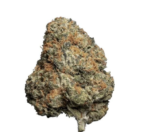 Enua 22/1 JFG CA (Jet Fuel Gelato)