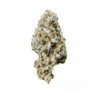 Demecan Craft Walkie Talkie 31:01 (Sugar Cake)