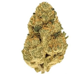 Beacon WP T24 (Blueberry Pancakes)