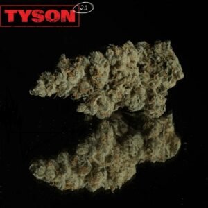TYSON 2.0 26/1 (Tiger Milk)