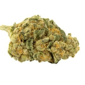 NICE 20/1 LMJ (Lemon Jane)