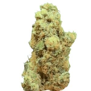 RUA Aotea 23/1 (Kakariki Koha)