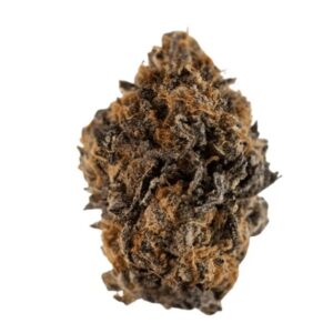 NICE 19/1 FZK (Forbidden Zkittlez)