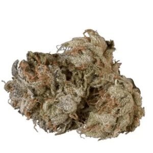 RUA AIO 27/1 (8 Ball Kush)