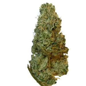 420 Evolution 27/1 CA (GMO Cookies)