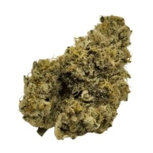 Nimbus Easy 26/1 (French Cookies)