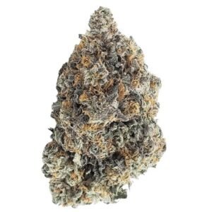 Enua 27/1 AAB CA (Blue Gelatti)