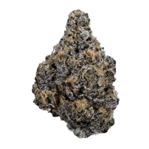 Nimbus Easy 22/1 (Jealousy)