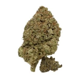 Enua 33/1 JGF CA (Jungle Fumes)