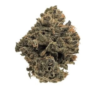 ADREX BG 18 KRK DAY (Kraken)