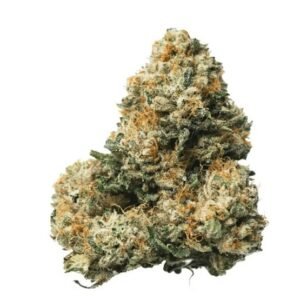 MediproCan Lunaris 23/1 (Legend OG)