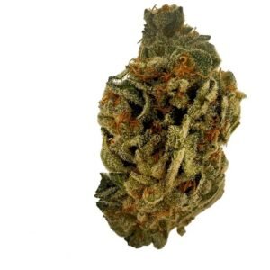 Sibanax 20/1 GMO Zkittlez (GMO Zkittlez)