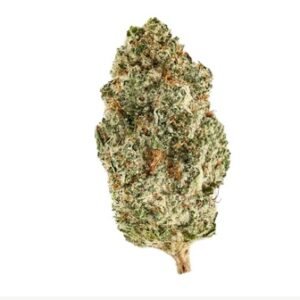 Slouu 29/1 PG CA (Pineapple God)