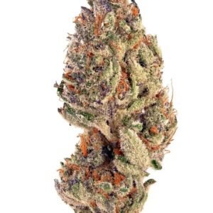 Enua 30/1 SLC CA (Slurricane)