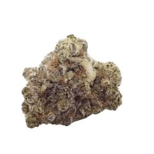 Barongo 28/1 FB (Banjo)