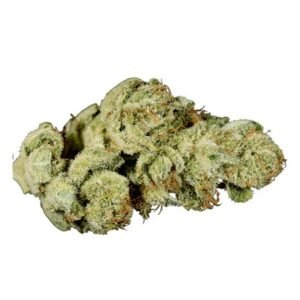 IMC THC27 T03 GG4 (Gorilla Glue)