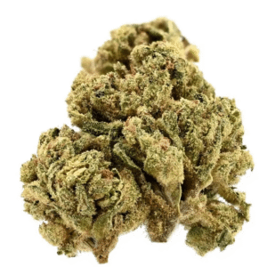 Demecan TRUU HS 26/01