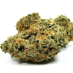 Nimbus Easy 22/1 (La Sage)