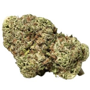 NOC KS 23/1 (KO x Sherbet Shocker)