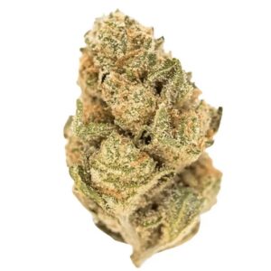 Demecan MC Regular Drop 25:01 (GMO X Jet Fuel Gelato)