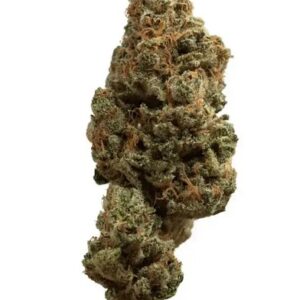 Demecan Core Sunshine Pure 22:01 (Tropicana Cookies)