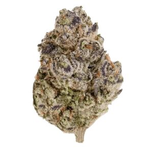 Enua 22/1 BCP CA (Black Cherry Punch)