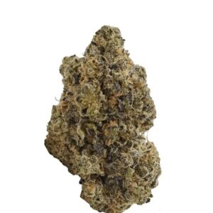 TRUU GT 23:01 (Crumbled Lime 27)