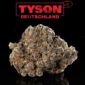 TYSON 2.0 28/1 (Alexander The Great)