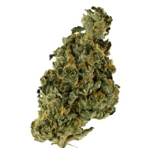 Demecan Core Saxonia 28:01 (Wedding Cake x Jet Fuel Gelato)