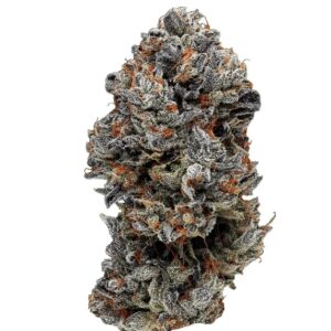 Slouu 33/1 COZ CA (Cookies OZ)